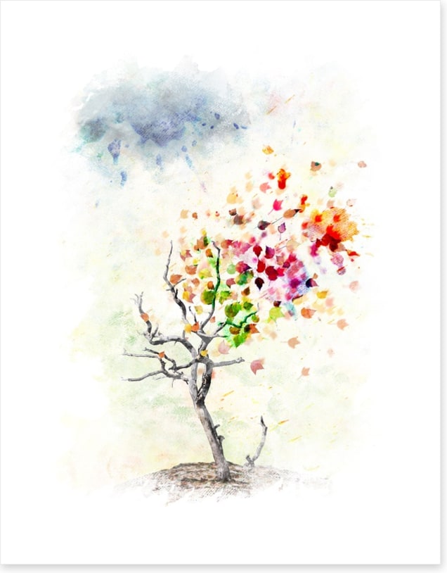 When the wind changes