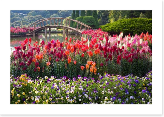 Flower garden bridge