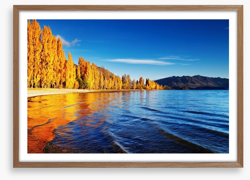 Golden shores