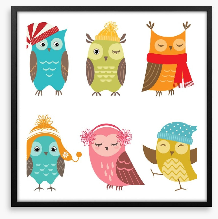 Owls
