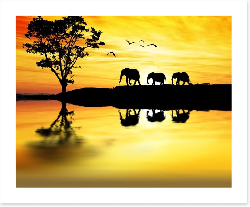 Elephant safari