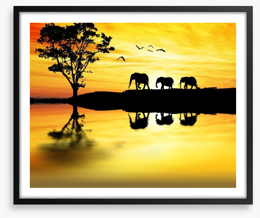 Elephant safari