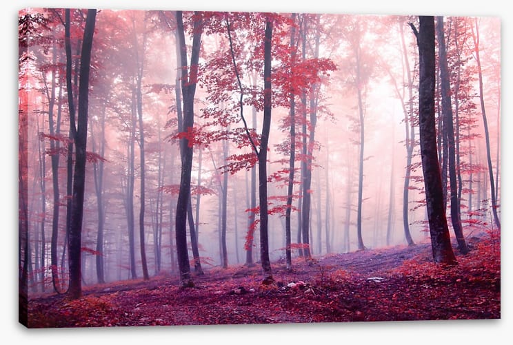 Mist and mystery