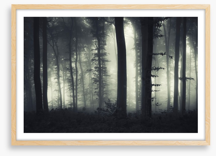Foreboding forest