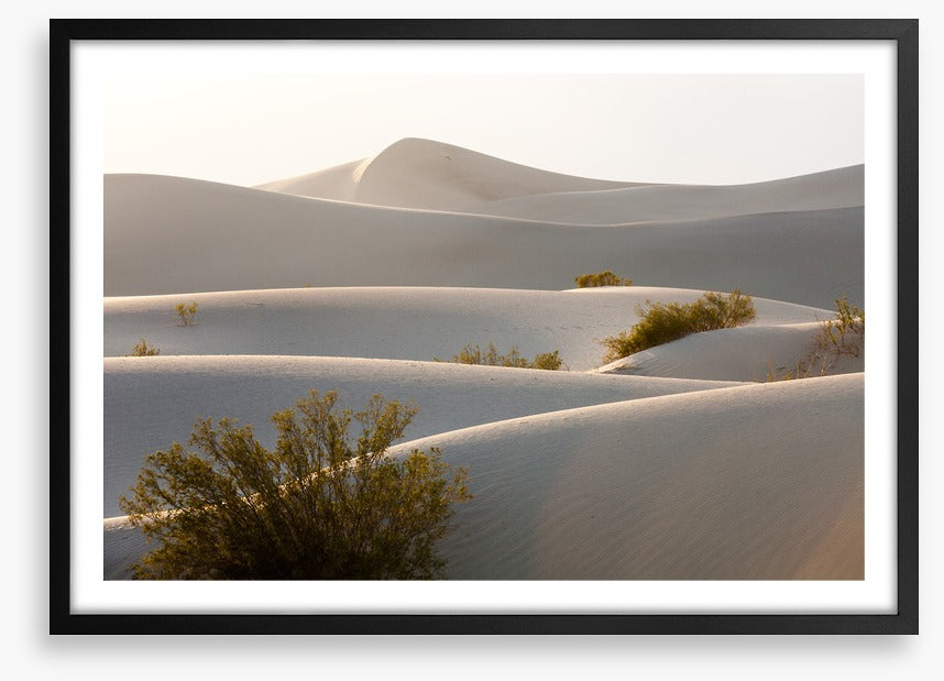 Desert