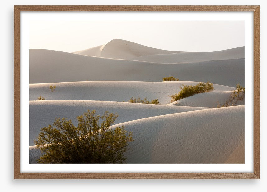 Desert