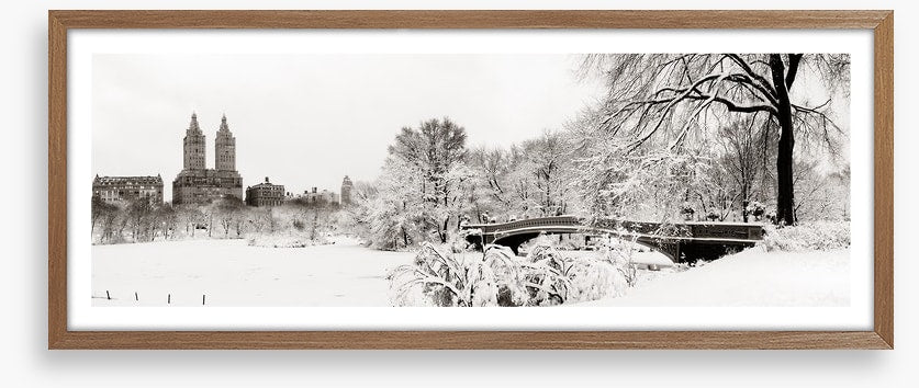Central Park winter