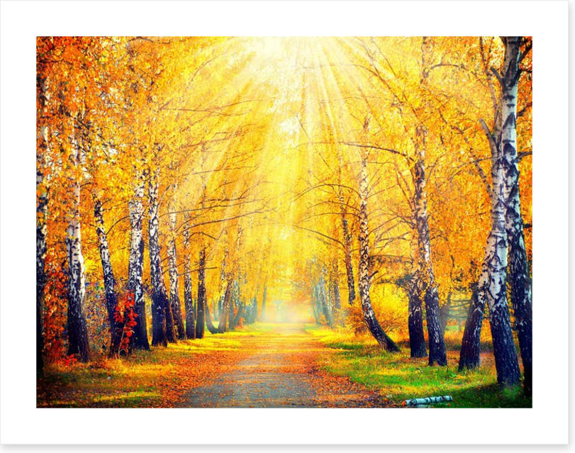 Golden sunbeam path