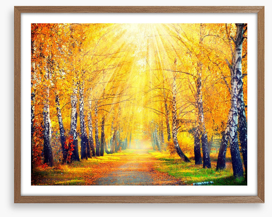 Golden sunbeam path