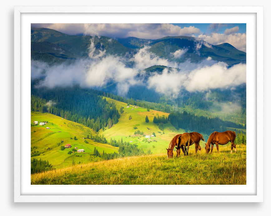 Three horse hill