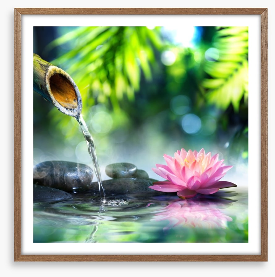 Zen water garden