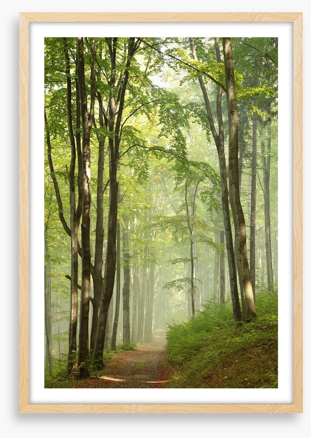 Solitary hike