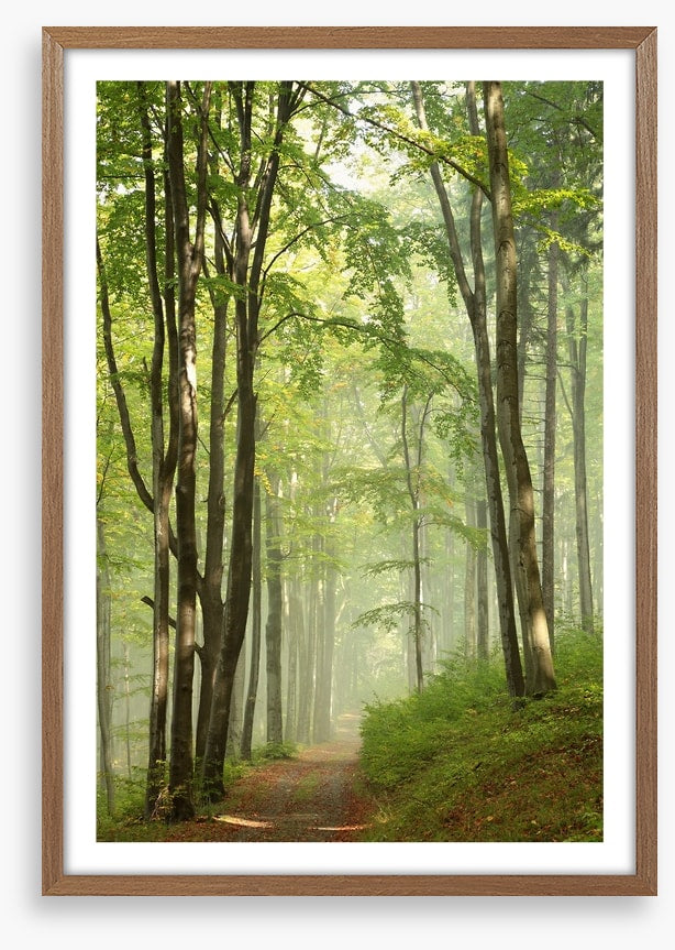 Solitary hike