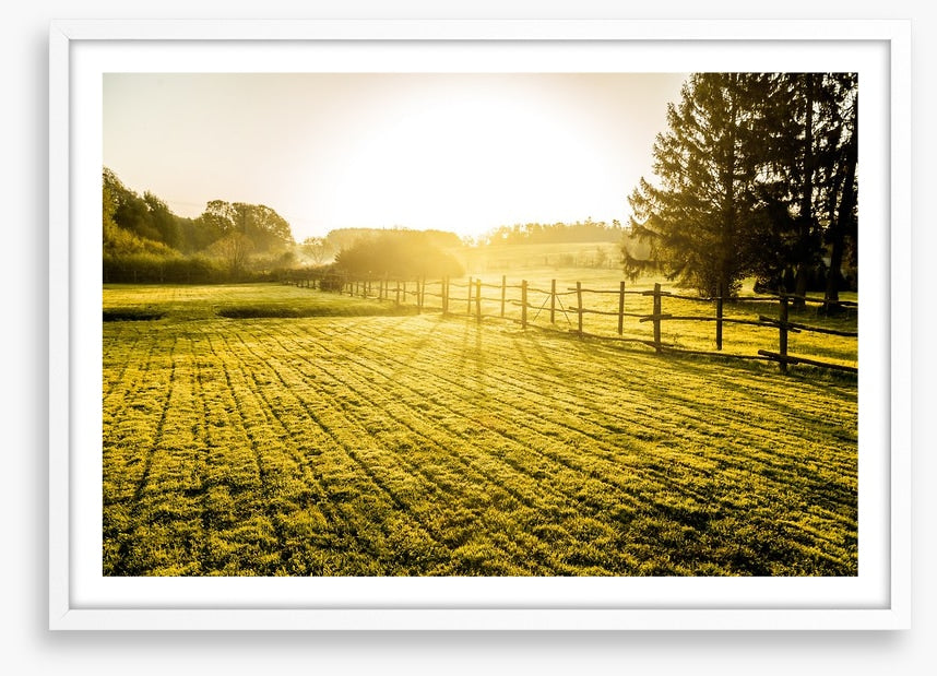 Agriculture