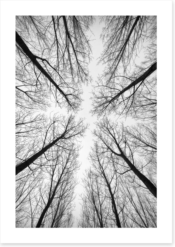Looking up