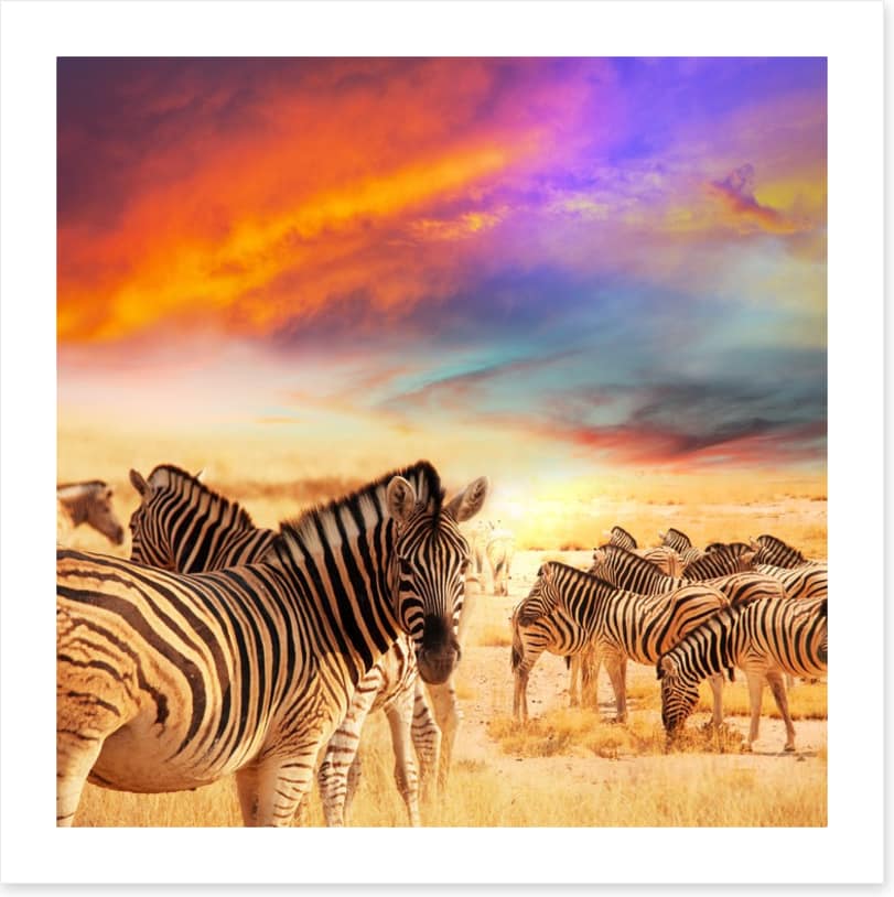 Serengeti sunset
