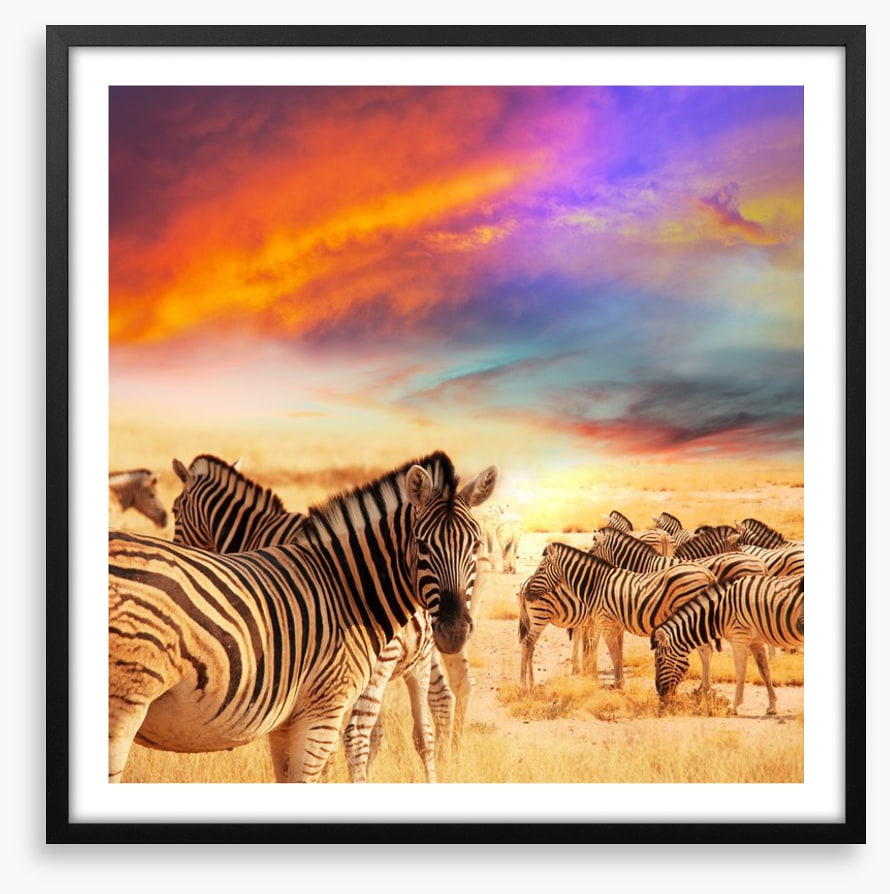 Serengeti sunset