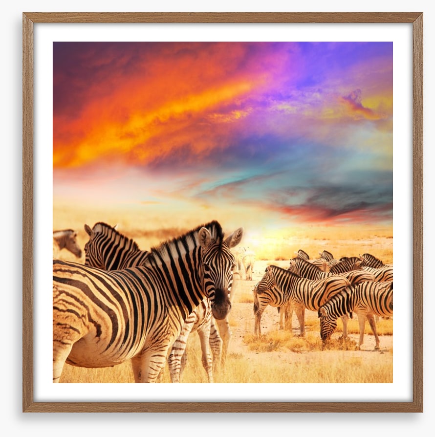 Serengeti sunset