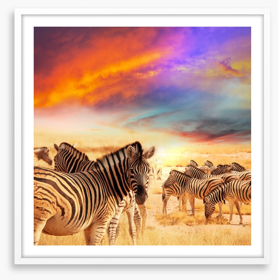 Serengeti sunset