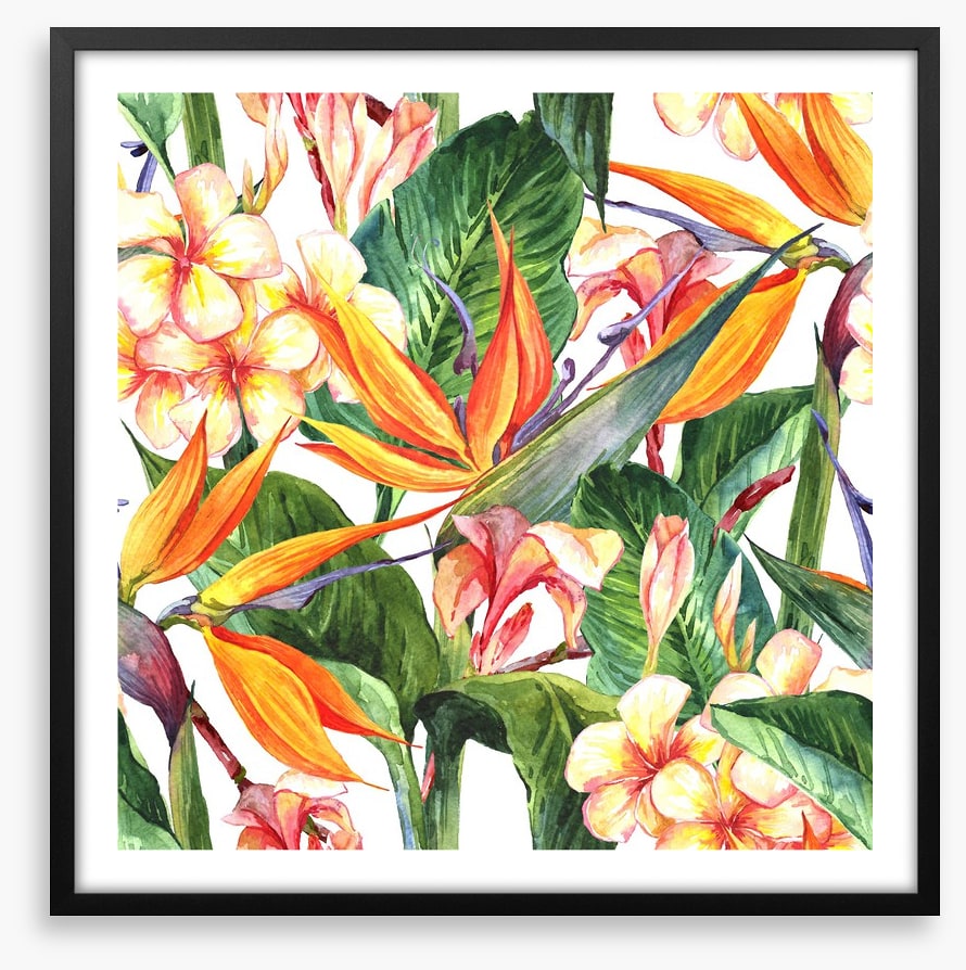 Exotic hibiscus leaves