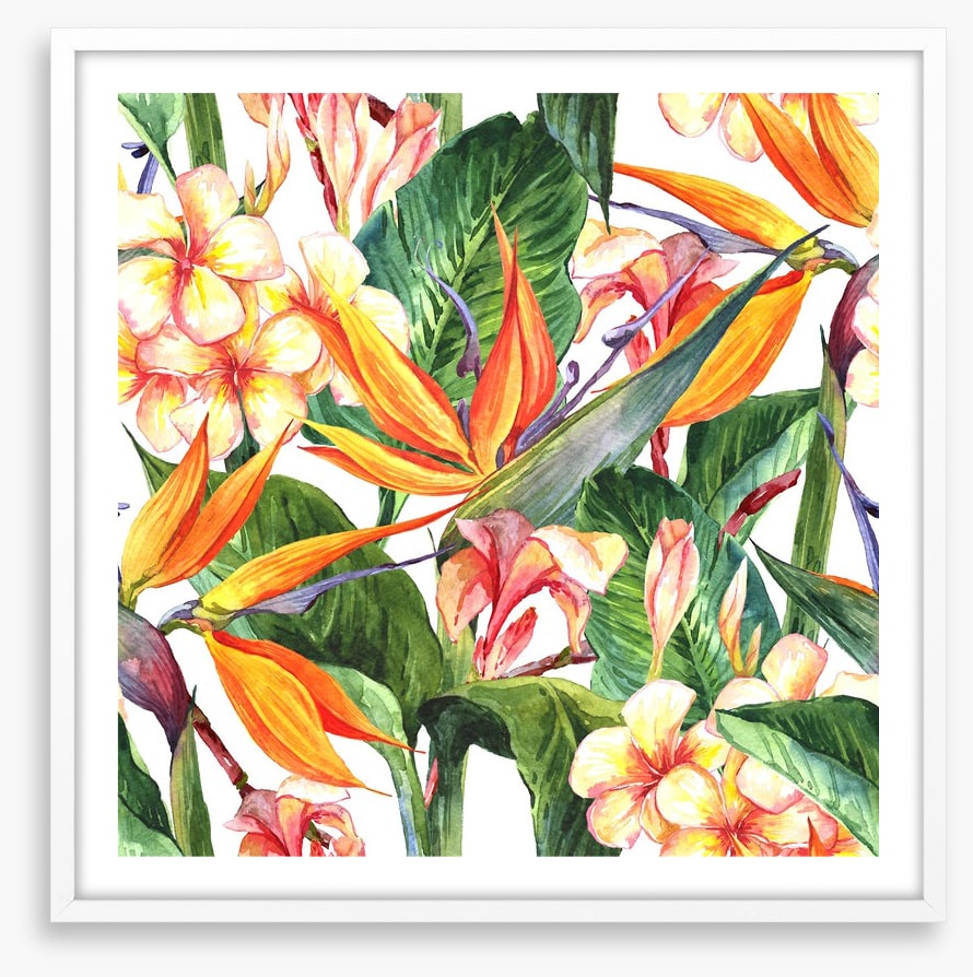 Exotic hibiscus leaves