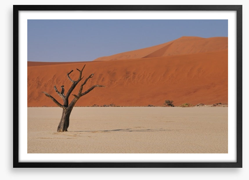 Africa