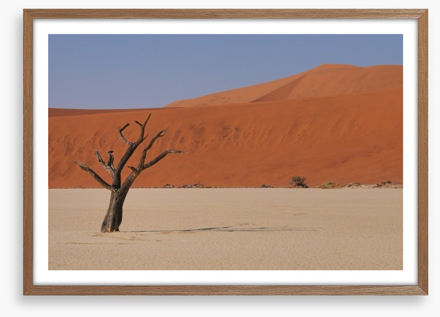 Africa