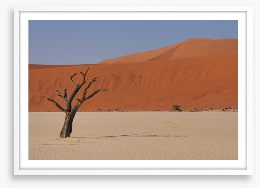 Africa