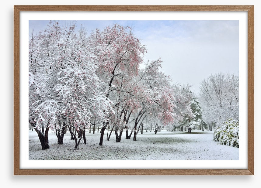 The start of winter