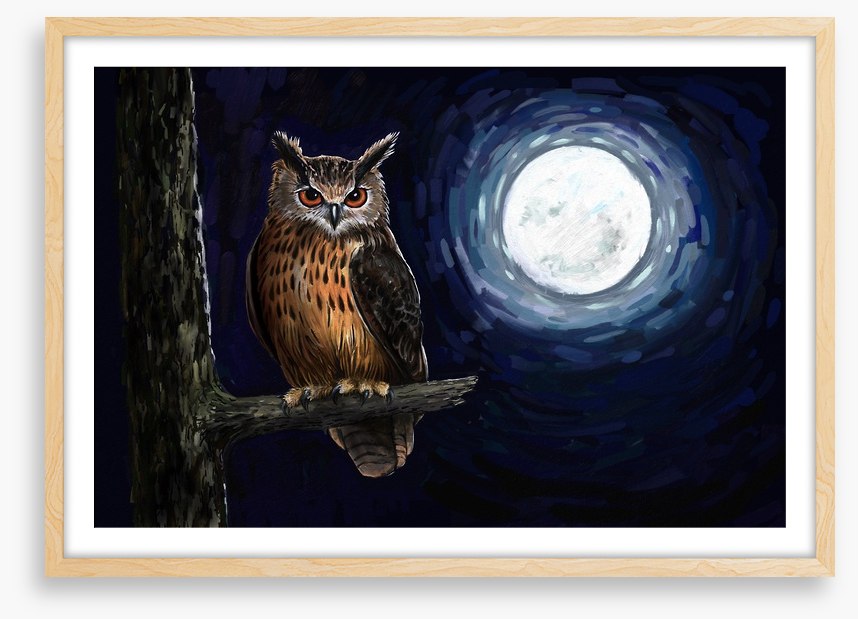 Moonlight owl