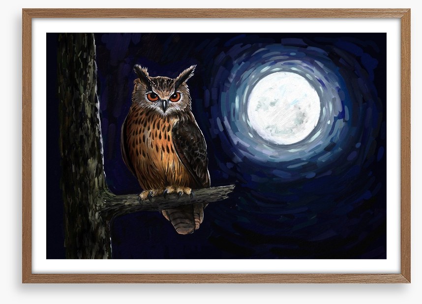 Moonlight owl