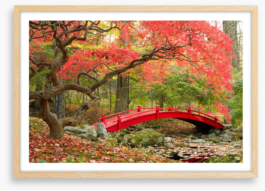 Red bridge in Autumn
