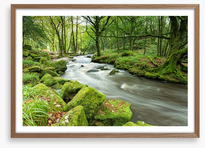 Green moss river