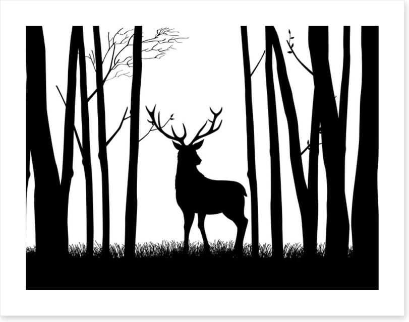 Deer in the woods