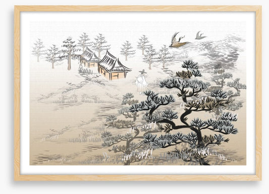 Above the misty forest