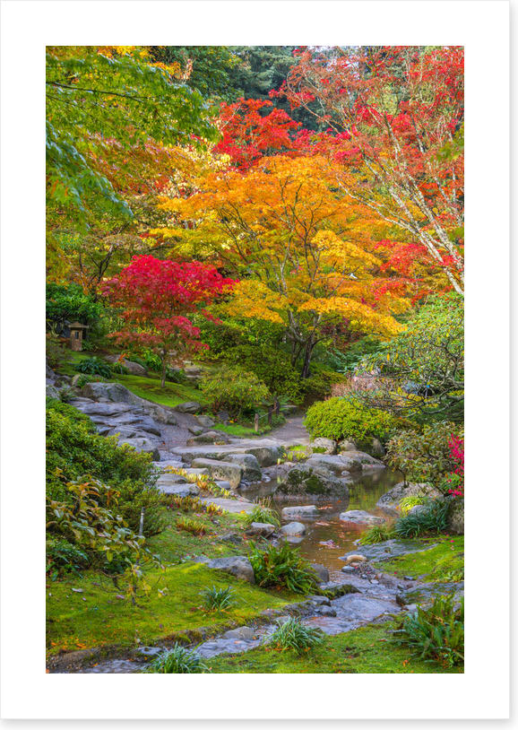 Streaming into fall