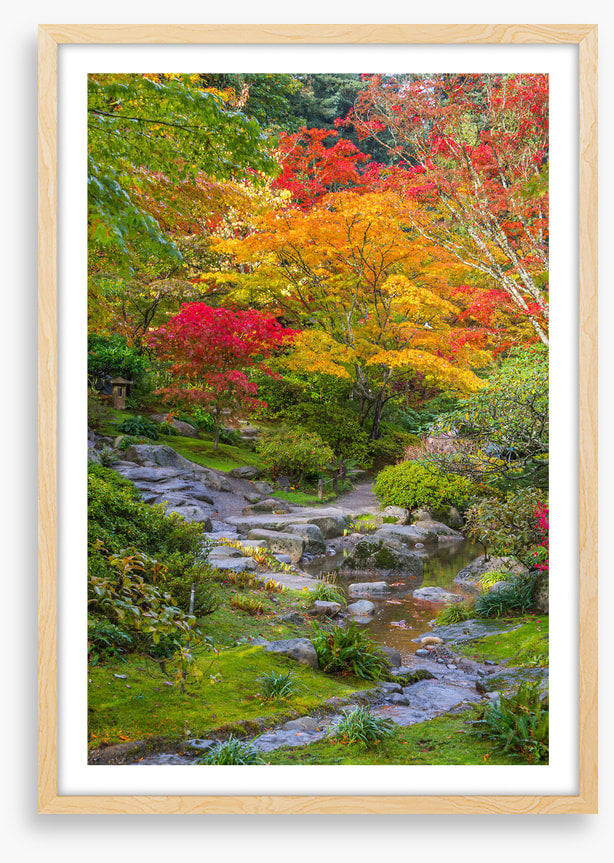 Streaming into fall