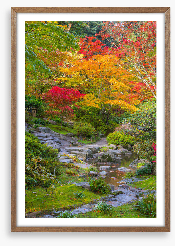 Streaming into fall