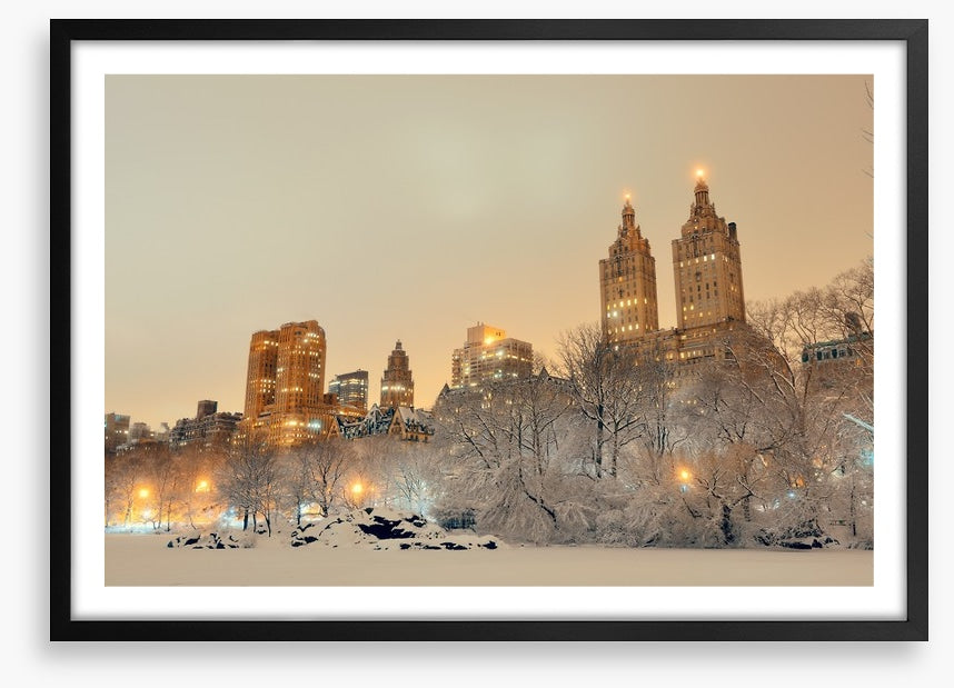 Central Park winter, New York