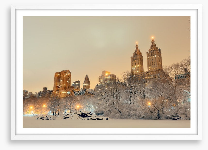 Central Park winter, New York