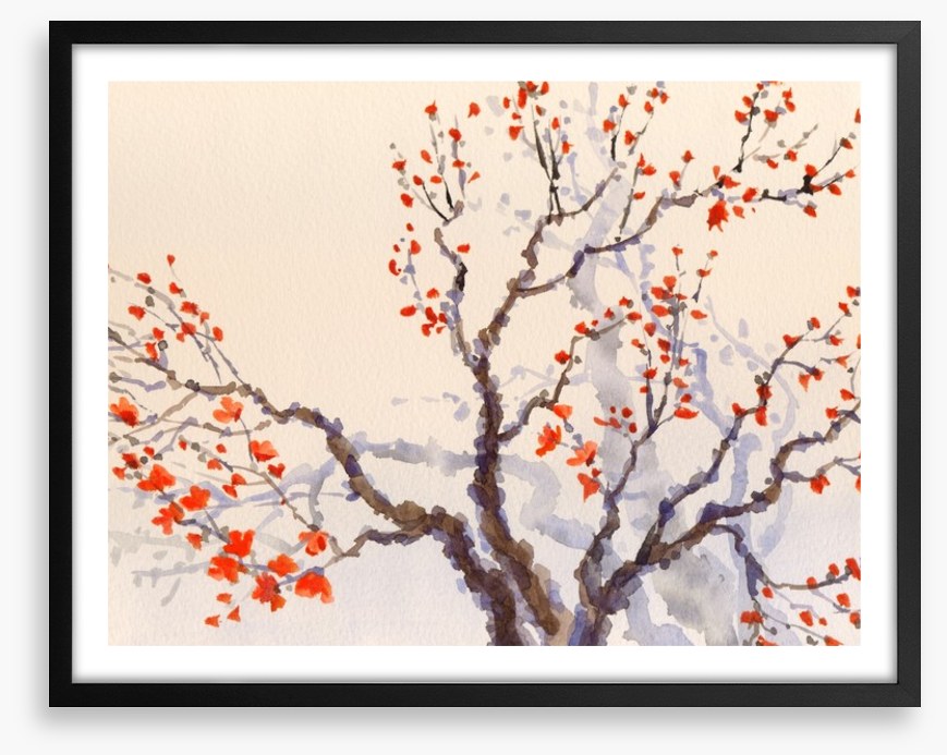 Red budding tree