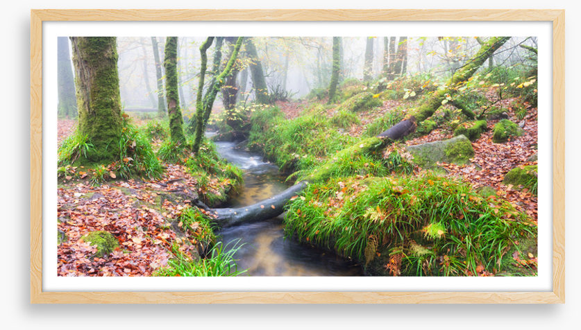Bridged by nature