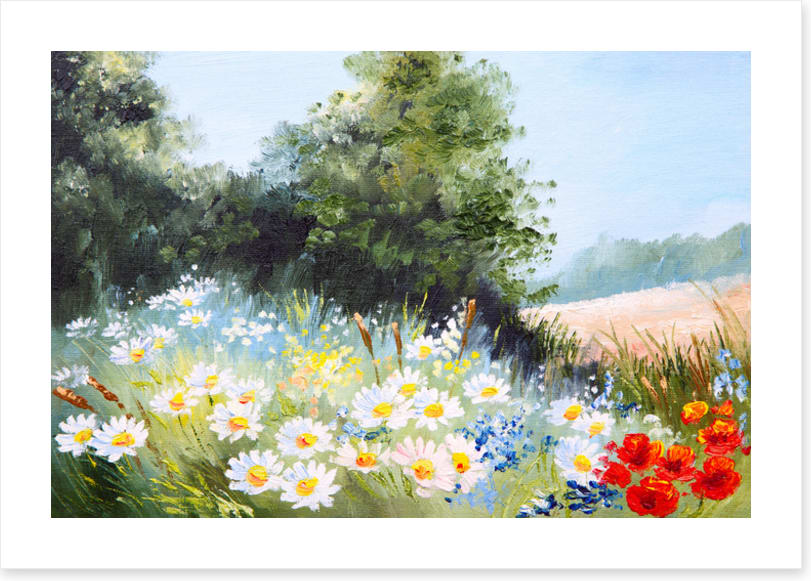 Daisy season