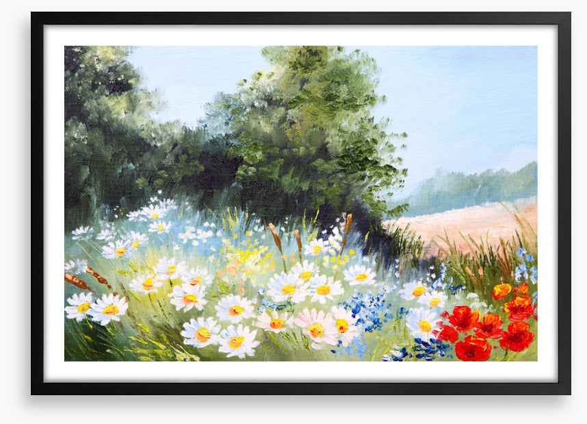 Daisy season