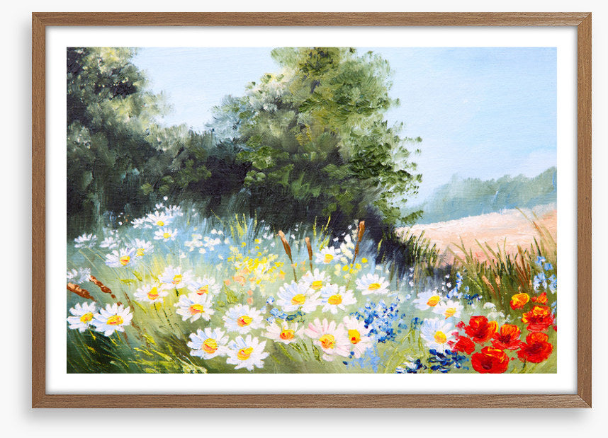 Daisy season