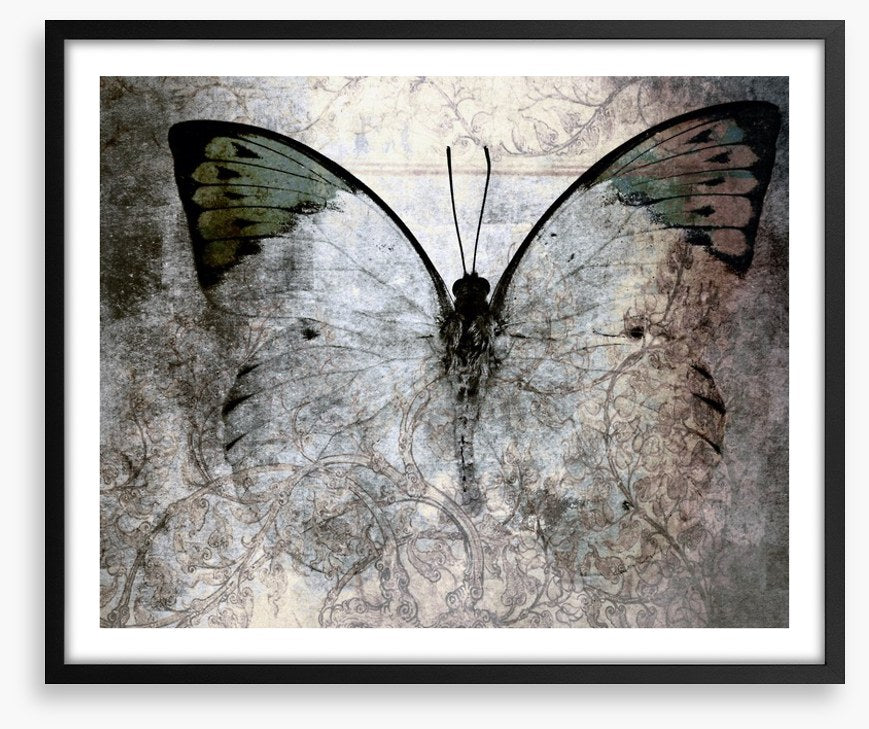 Vintage monarch butterfly