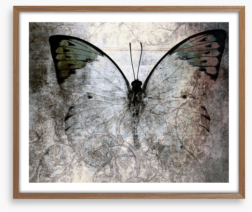 Vintage monarch butterfly