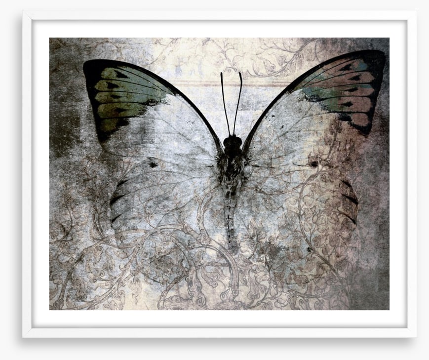 Vintage monarch butterfly