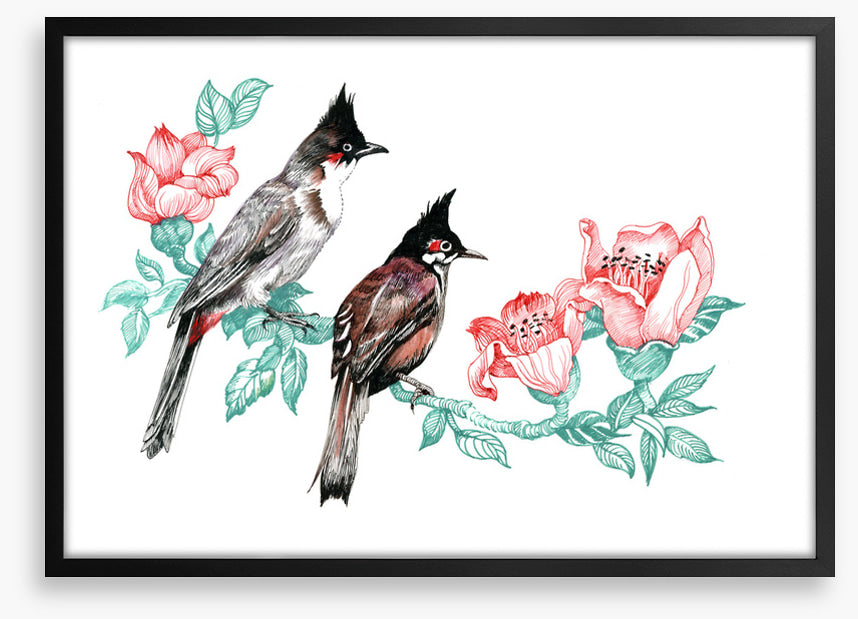 Birds