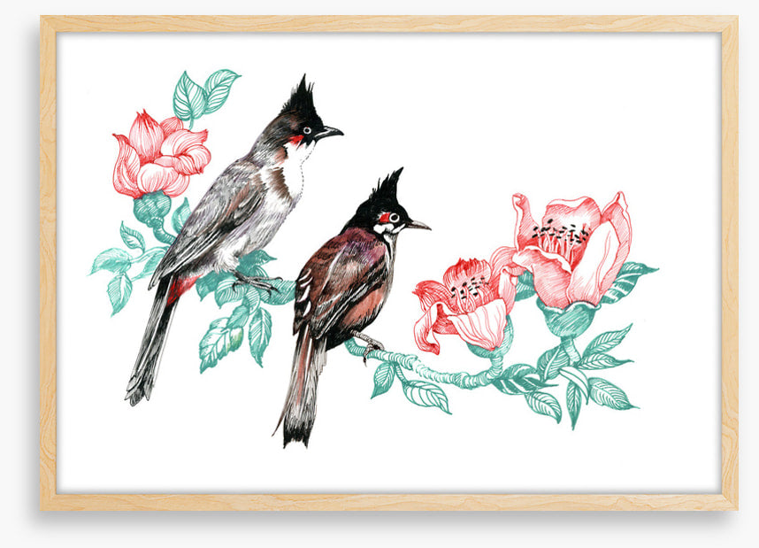 Birds